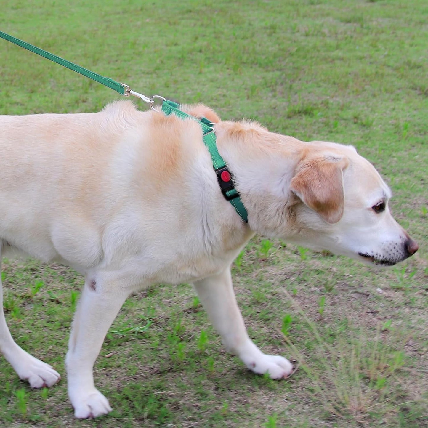 Martingale Dog Collar(12.5-16''), 6FT Double Handle Leash for Training, Teal -