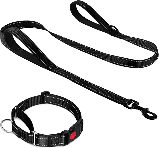 Martingale Dog Collar(12.5-16''), 6FT Double Handle Leash for Training, Black - Hover Image