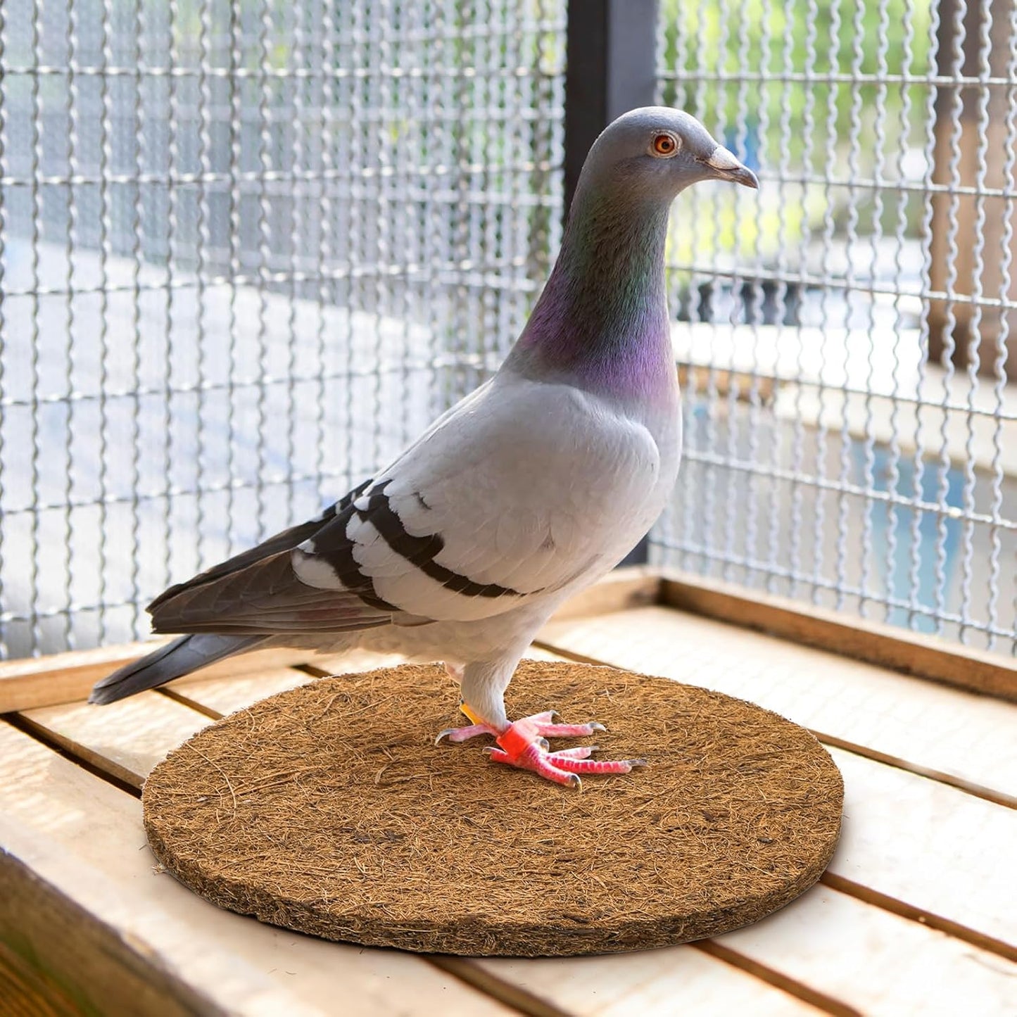 15 Packs Pigeon Nest Pads, Bird Breeding Mat for Chicken, Natural Coconut Fiber Egg Mat, Nesting Bowl Box Pad Parakeet Hatching Bedding Accessories