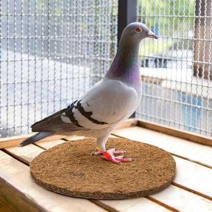 15 Packs Pigeon Nest Pads, Bird Breeding Mat for Chicken, Natural Coconut Fiber Egg Mat, Nesting Bowl Box Pad Parakeet Hatching Bedding Accessories