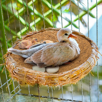 15 Packs Pigeon Nest Pads, Bird Breeding Mat for Chicken, Natural Coconut Fiber Egg Mat, Nesting Bowl Box Pad Parakeet Hatching Bedding Accessories