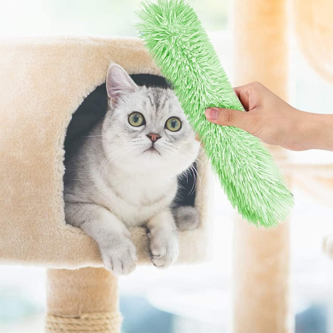 3-pack catnip toys for adult indoor kittens - interactive plush cat toys with built-in catnip and sounds - small.