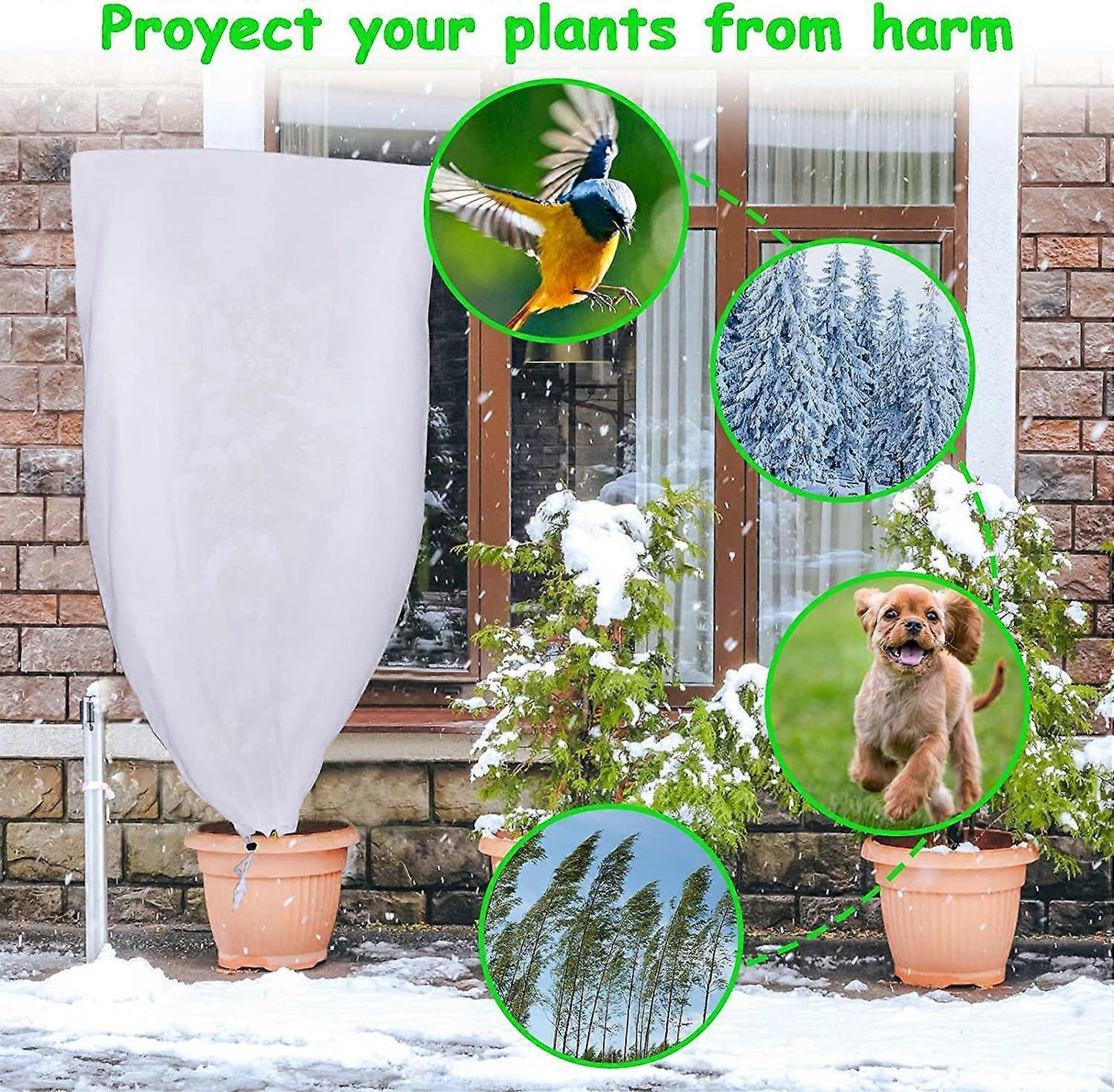 2 Pack Plant Protection Plant Overwintering Cover, Overwintering Protection Veil with Zipper for Trees, Palms, Outdoor Use (80 * 100)