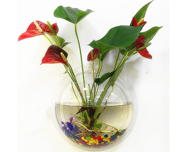1 Set Fish Tank Decorative Wall Mounted Hanging Flower Vase-Transparent Hover Image