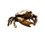Brass Crab Statue for Gift-Brass Color