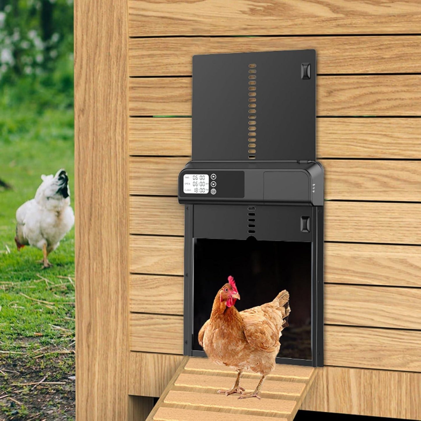 CARLA HOME Automatic Chicken Coop Door with Timer & LCD Screen, Anti-Pinch Safety, Easy Battery Operation & Weatherproof for Outdoor Coops.