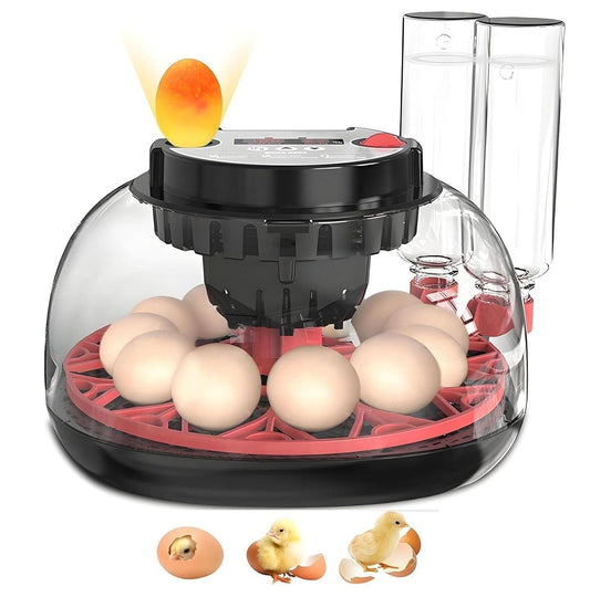 CARLA HOME 12 Egg Incubator with Automatic Turning, LED Display, Humidity & Temperature Control, Auto Water System & Built-in Egg Candler for Chicken, Duck, Quail, Goose.