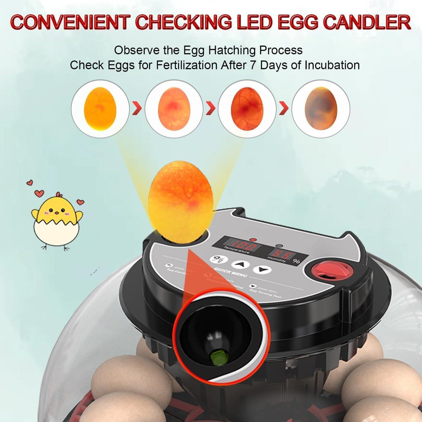 CARLA HOME 12 Egg Incubator with Automatic Turning, LED Display, Humidity & Temperature Control, Auto Water System & Built-in Egg Candler for Chicken, Duck, Quail, Goose.