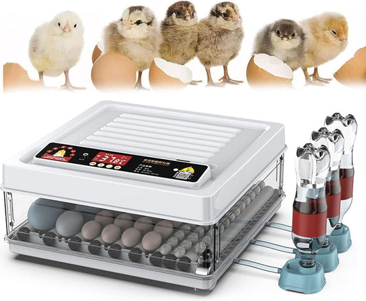 CARLA HOME 70 Egg Incubator with Automatic Turning, LED Display, Humidity & Temperature Control, Auto Water System & Built-in Egg Candler for Chicken, Duck, Quail, Goose.