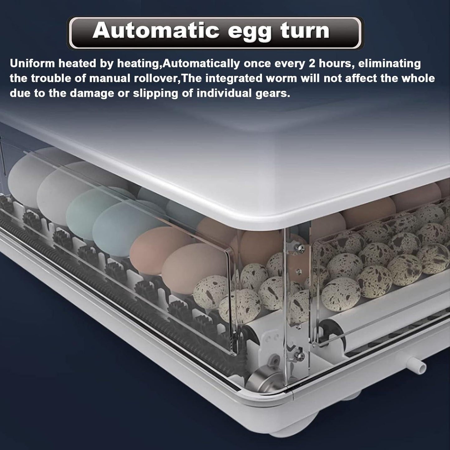 CARLA HOME 70 Egg Incubator with Automatic Turning, LED Display, Humidity & Temperature Control, Auto Water System & Built-in Egg Candler for Chicken, Duck, Quail, Goose.