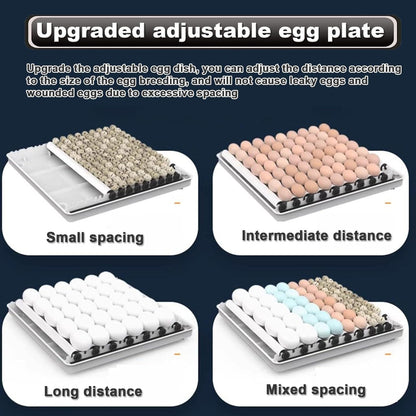 CARLA HOME 70 Egg Incubator with Automatic Turning, LED Display, Humidity & Temperature Control, Auto Water System & Built-in Egg Candler for Chicken, Duck, Quail, Goose.