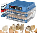 CARLA HOME 128 Egg Incubator with Automatic Turning, LED Display, Humidity & Temperature Control, Auto Water System & Built-in Egg Candler for Chicken, Duck, Quail, Goose.