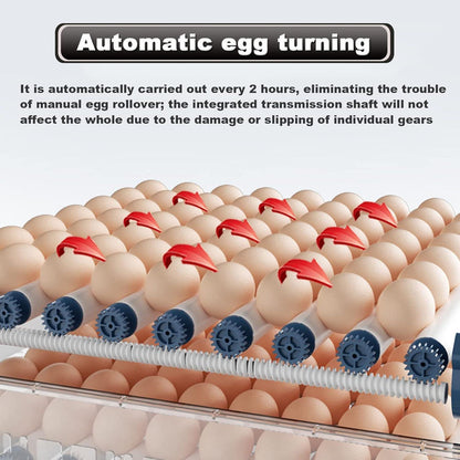 CARLA HOME 128 Egg Incubator with Automatic Turning, LED Display, Humidity & Temperature Control, Auto Water System & Built-in Egg Candler for Chicken, Duck, Quail, Goose.