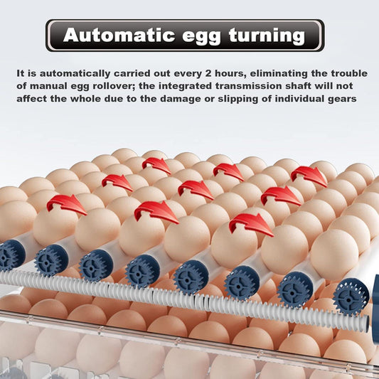 CARLA HOME 128 Egg Incubator with Automatic Turning, LED Display, Humidity & Temperature Control, Auto Water System & Built-in Egg Candler for Chicken, Duck, Quail, Goose.