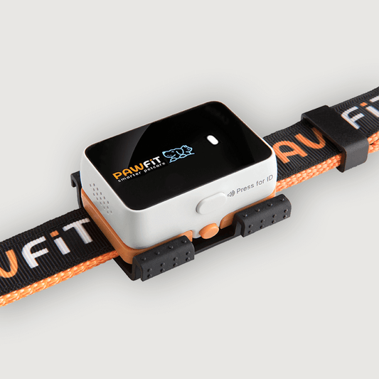 Pawfit 3 Tracker.