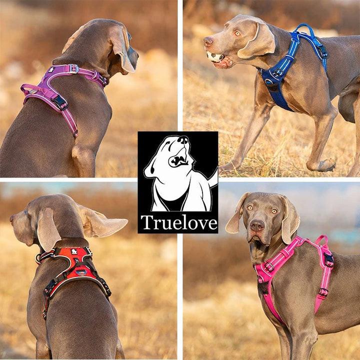No Pull Harness Grey M.