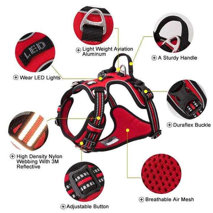 No Pull Harness Purple L.