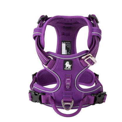 No Pull Harness Purple L.