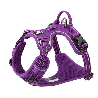 No Pull Harness Purple L.