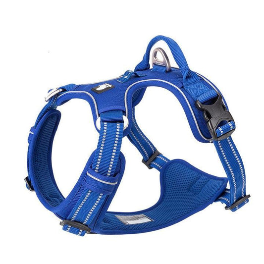 No Pull Harness Royal Blue L.