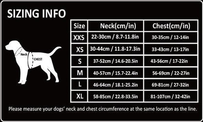 Lightweight Harness Black XL.