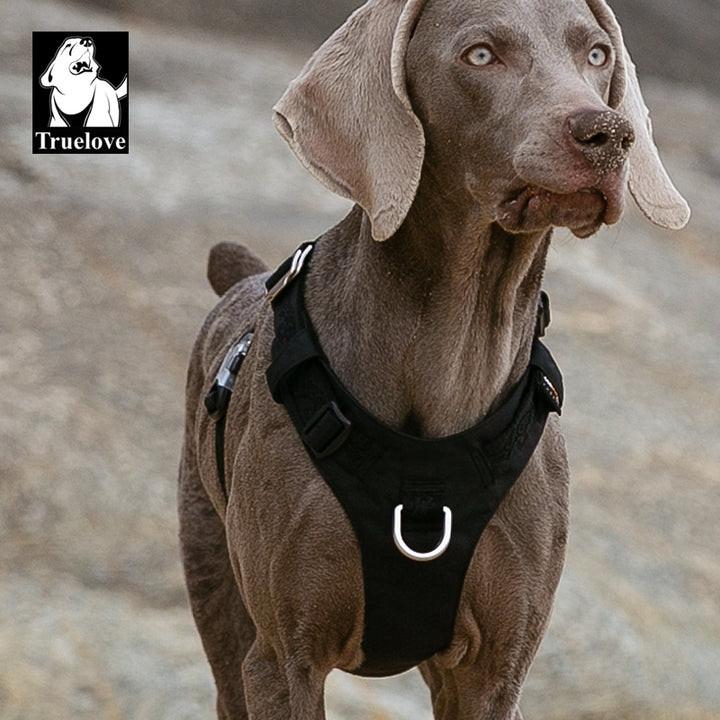 Lightweight Harness Black XL.