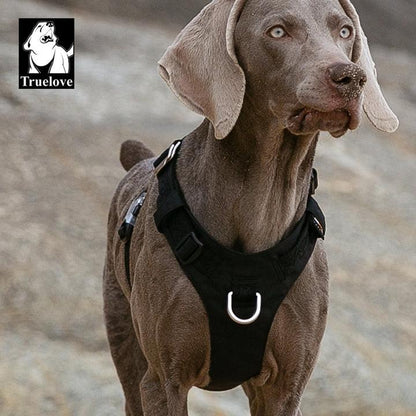 Lightweight Harness Black XL.
