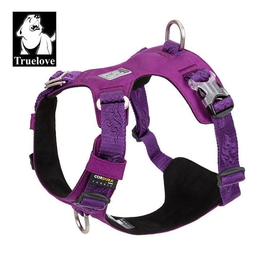 Lightweight Harness Purple XS.