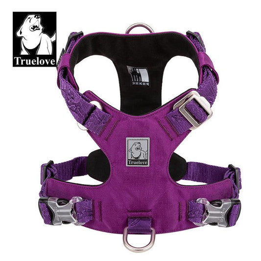 Lightweight Harness Purple XS.