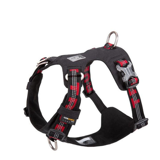 Lightweight 3M reflective Harness Black L.