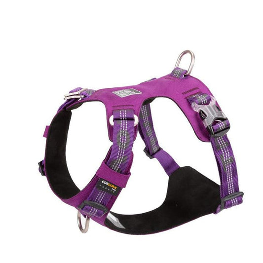 Lightweight 3M reflective Harness Purple S.