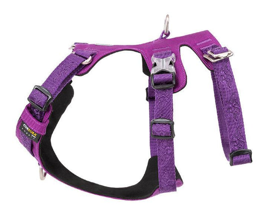 Whinhyepet Harness Purple L.