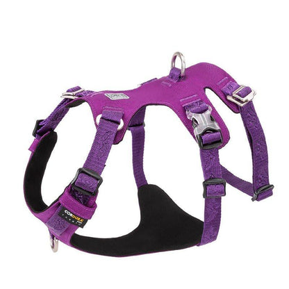 Whinhyepet Harness Purple XL.