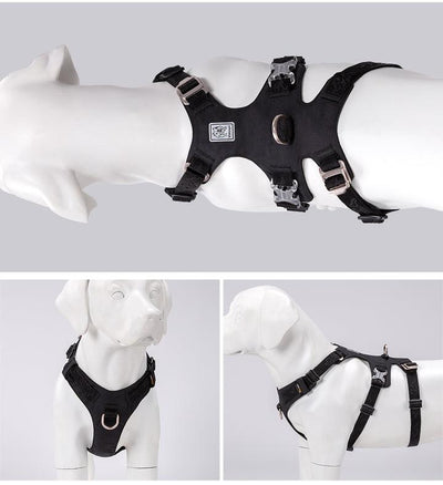 Whinhyepet Harness Black XL.