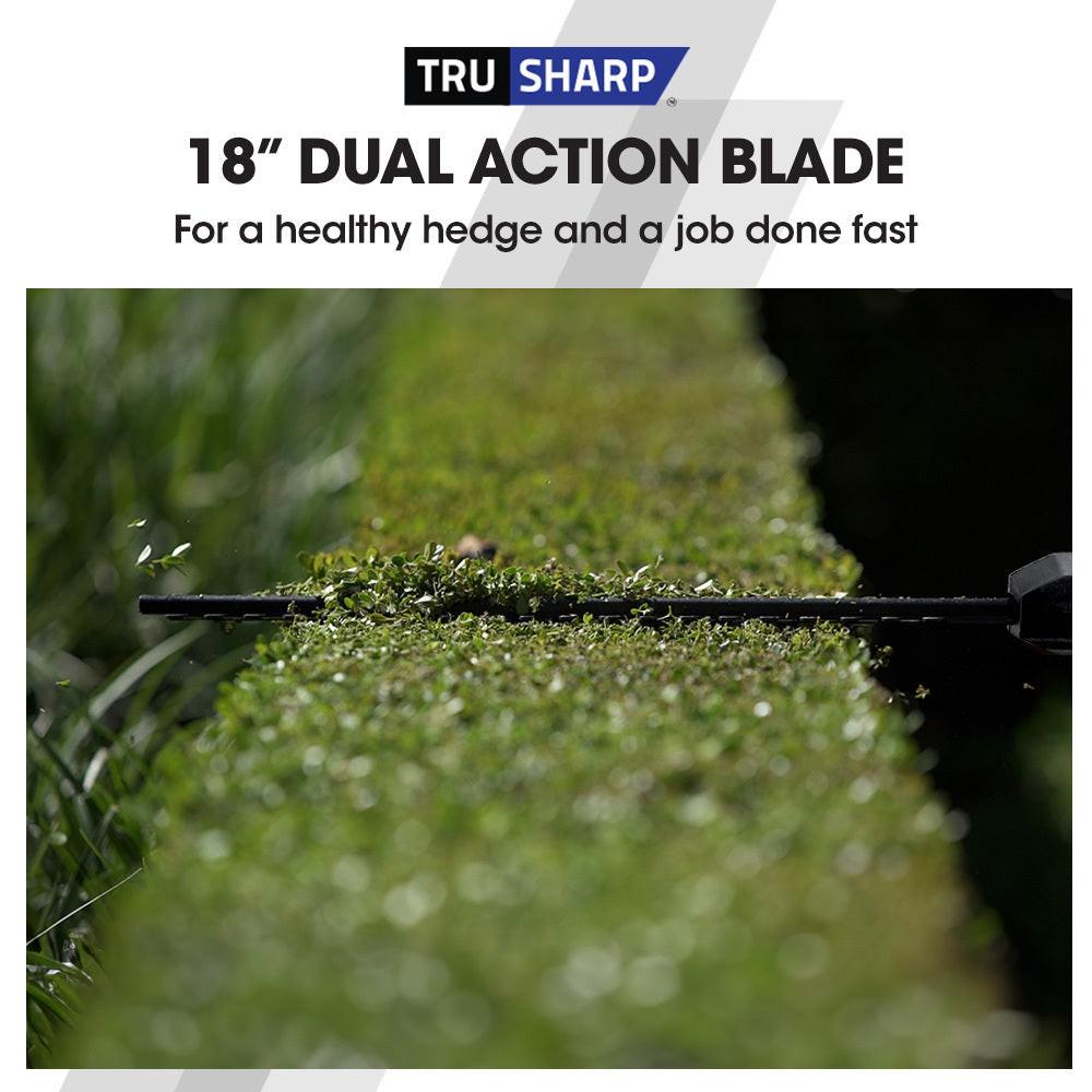 BAUMR-AG 20V SYNC Cordless Pole Saw & Hedge Trimmer Combo, 8 inch Chainsaw Pruner, Telescopic Handle, with Battery and Charger Kit.