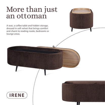 Coffee Table Storage Ottoman - Velvet Padded Blanket Box Bench IRENE BROWN.