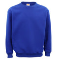 New Adult Unisex Plain Pullover Fleece Jumper Mens Long Sleeve Crew Neck Sweater, Royal Blue, S