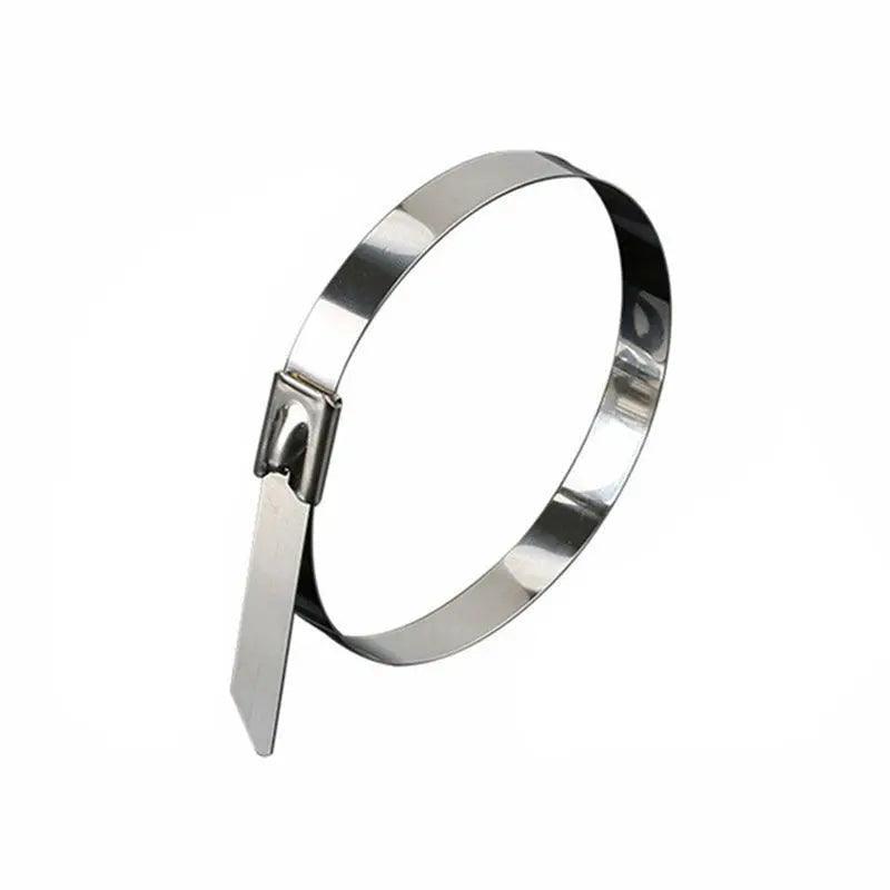20X Stainless Steel Cable Ties S304 Marine Grade Zip Strap Locking Wrap 100-800Mm - 4.6*350mm