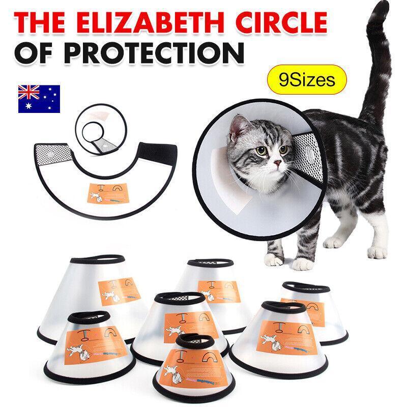 Pet Cat Dog Protective Cone Collar Elizabethan E Collar Wound Healing Recovery - 1
