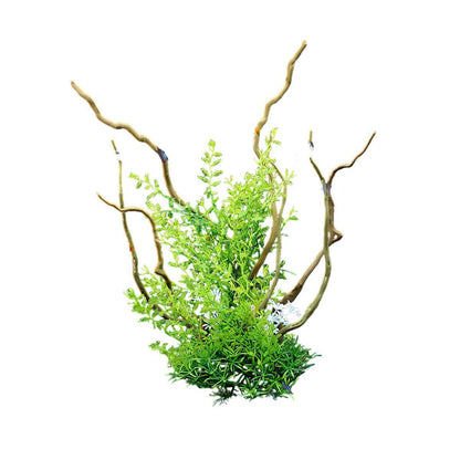 Aquarium Landscaping Decoration Artificial Wood and Plants Fish Tank Ornament - CM3302-Green