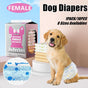 Disposable Female Dog Diapers Leakproof Breathable with Colour Indicator - S 26-46cm