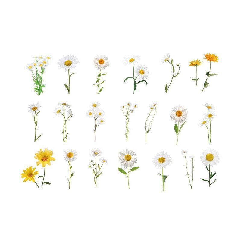 Scrapbooking Flower Stickers Pet Transparent Sticker - F.