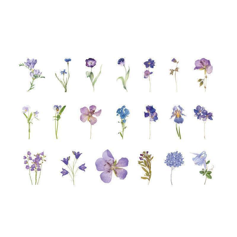 Scrapbooking Flower Stickers Pet Transparent Sticker - F.