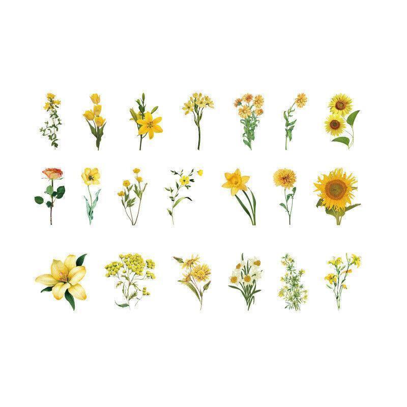 Scrapbooking Flower Stickers Pet Transparent Sticker - F.