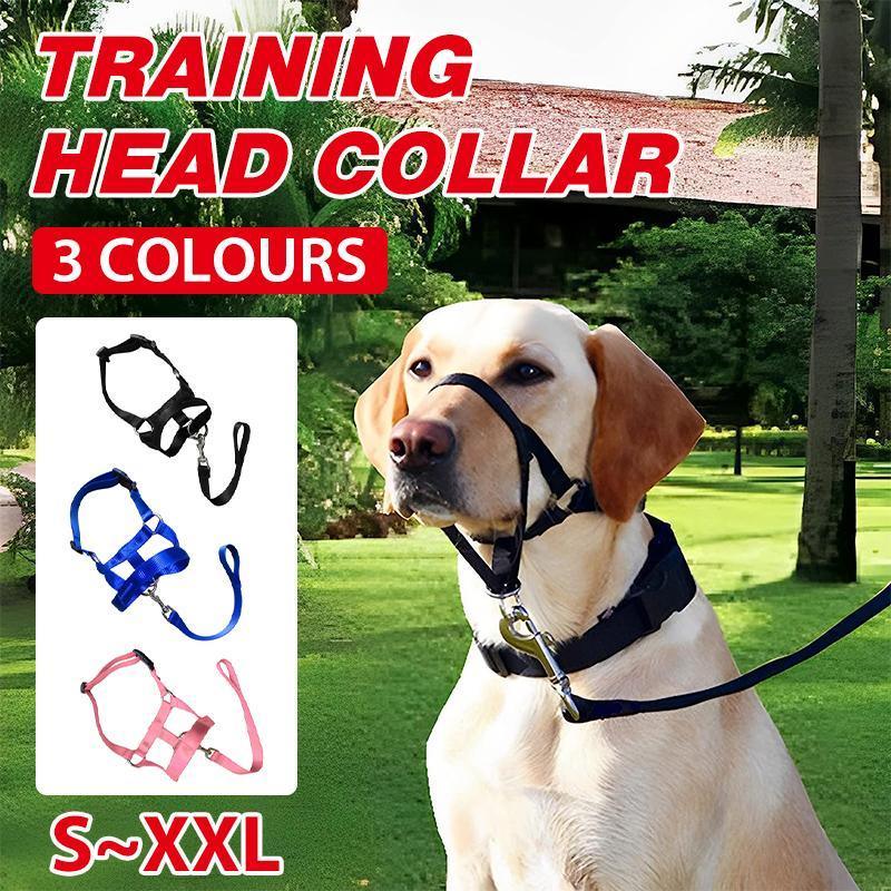 Black Dog Training Head Collar Halter Stop Pulling Training Tool Harness Strap Leader - S