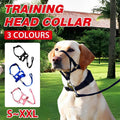 Black Dog Training Head Collar Halter Stop Pulling Training Tool Harness Strap Leader - XL