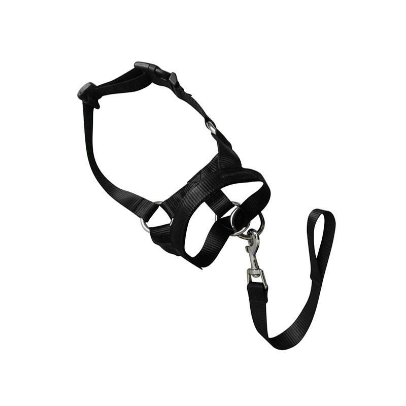 Black Dog Training Head Collar Halter Stop Pulling Training Tool Harness Strap Leader - XL