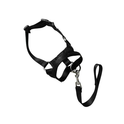 Black Dog Training Head Collar Halter Stop Pulling Training Tool Harness Strap Leader - XL