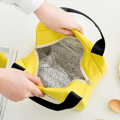 Portable Insulated Thermal Lunch Box Carry Tote Picnic Case Storage Bag 21x17x15cm - C02 (21x17x15cm).