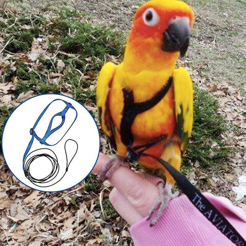 M Pet Parrot Bird Harness Lead Leash Flying Training Rope Cockatiel Outdoor - Green